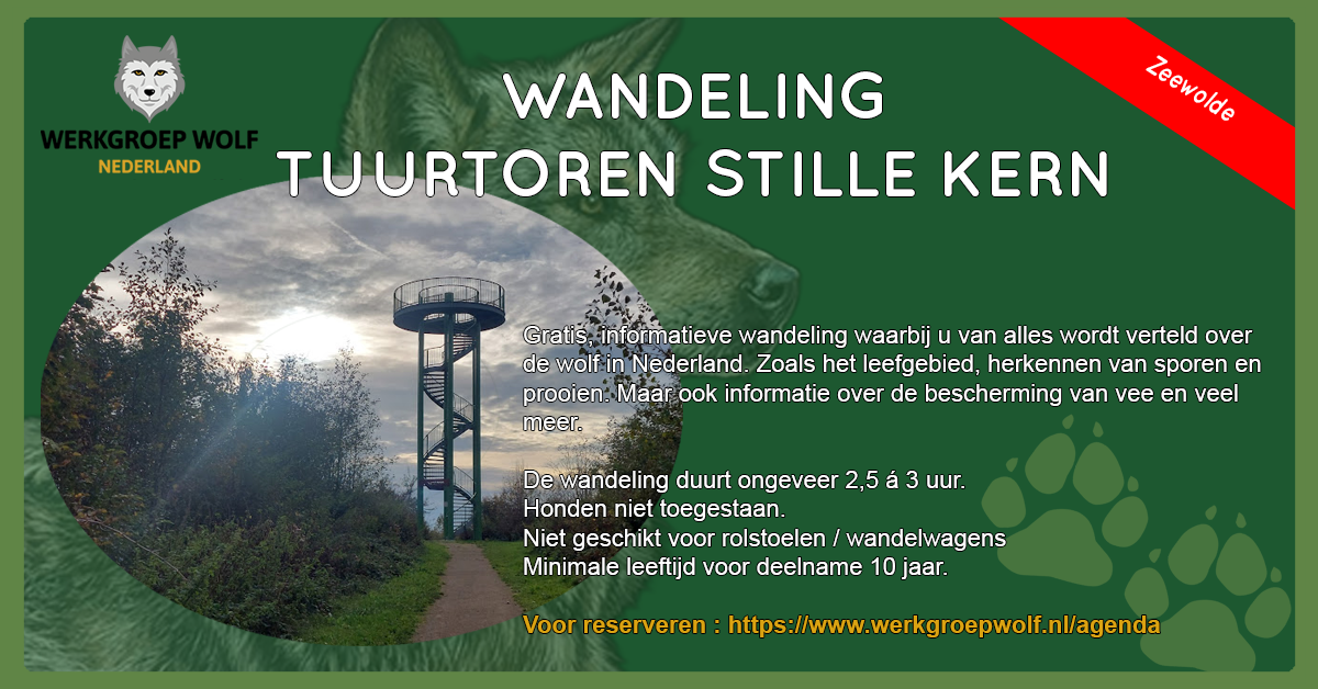 Wandeling Tuurtoren Stille Kern header