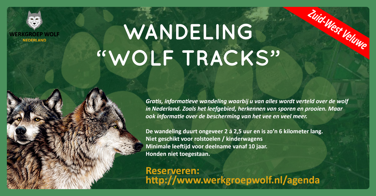 Wandeling Wolftracks header
