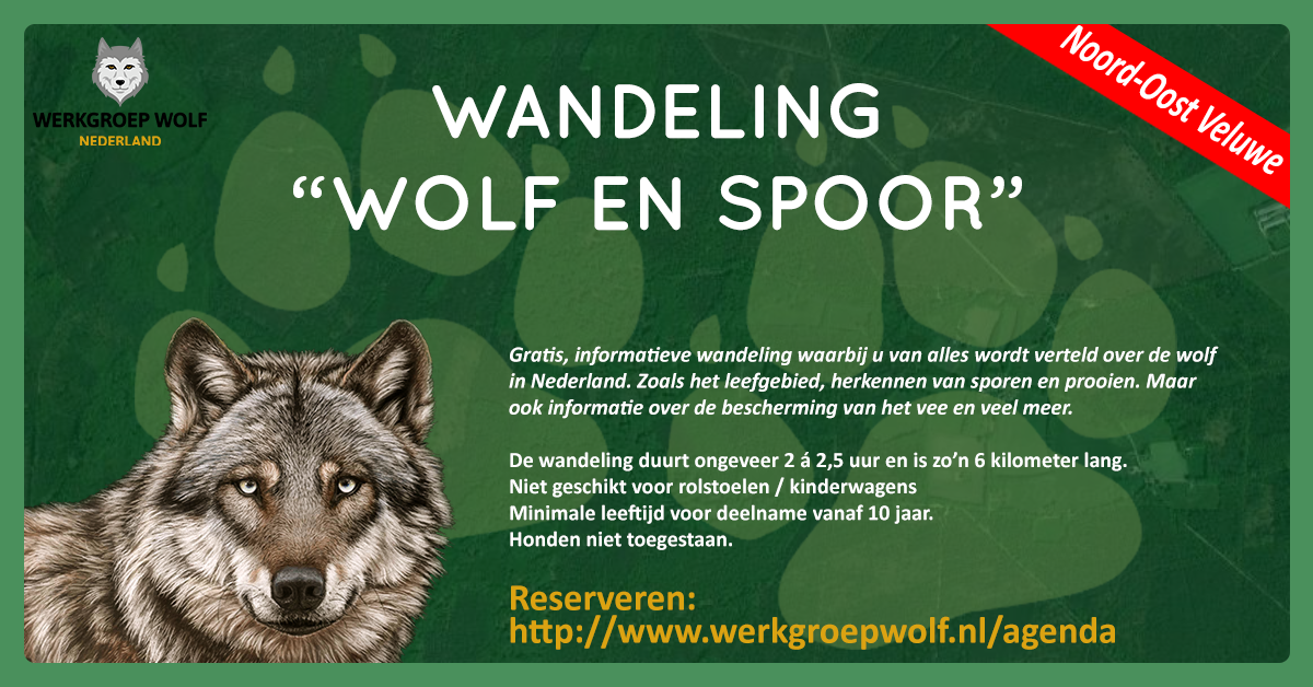 Wolf en Spoor header