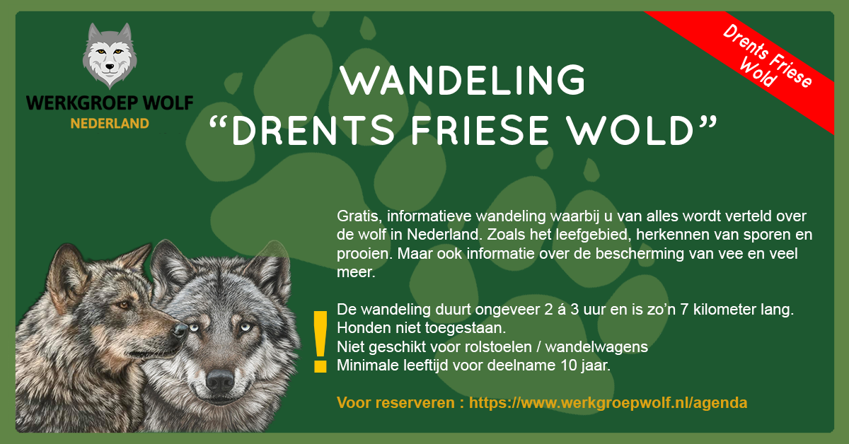 Wandeling Drents Friese Wold header
