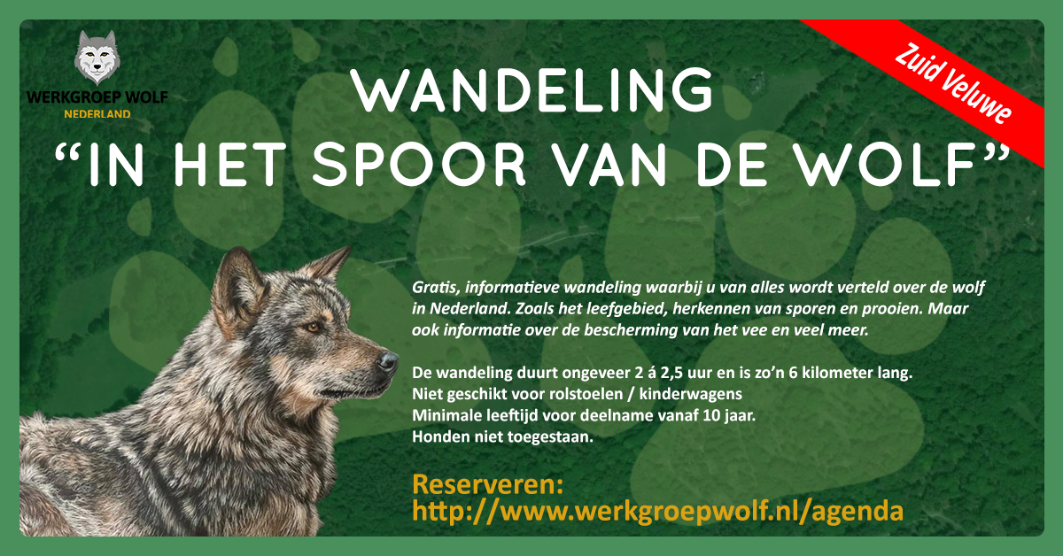 Wandeling In het spoor van de wolf header