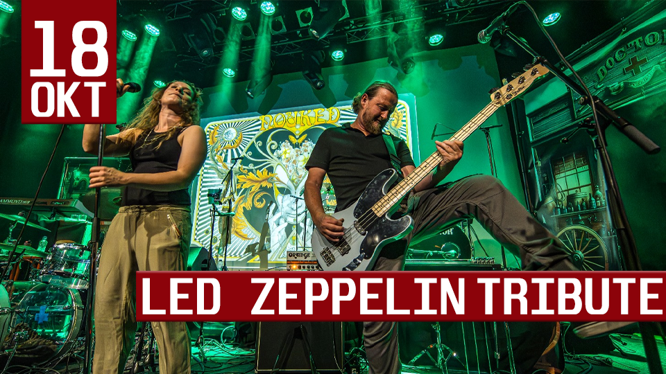 Led Zeppelin Tribute header