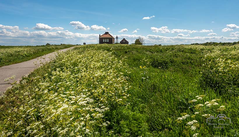 Nieuwjaar op Schokland header