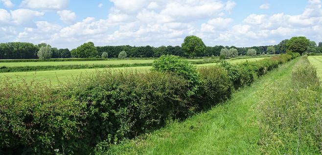 Mooyland - Landschapscafé met Hagenpreek door Dr Kenneth Rijsdijk header