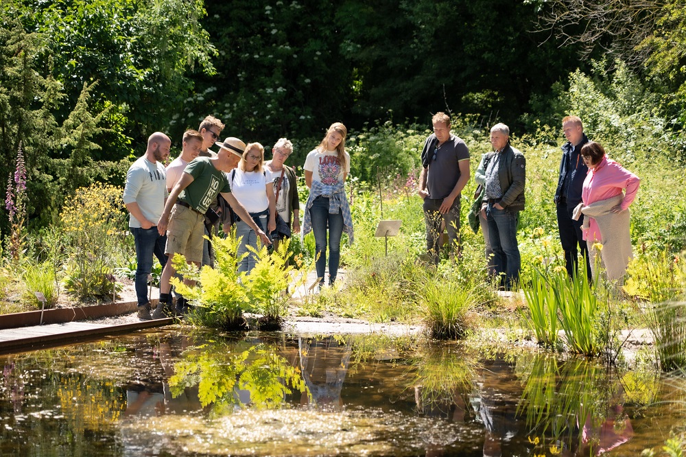 Rondleiding Kruiden header