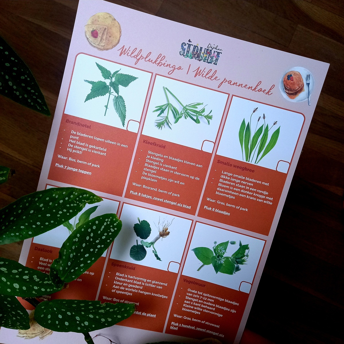 DIY Wildpluksafari | Lente-editie header