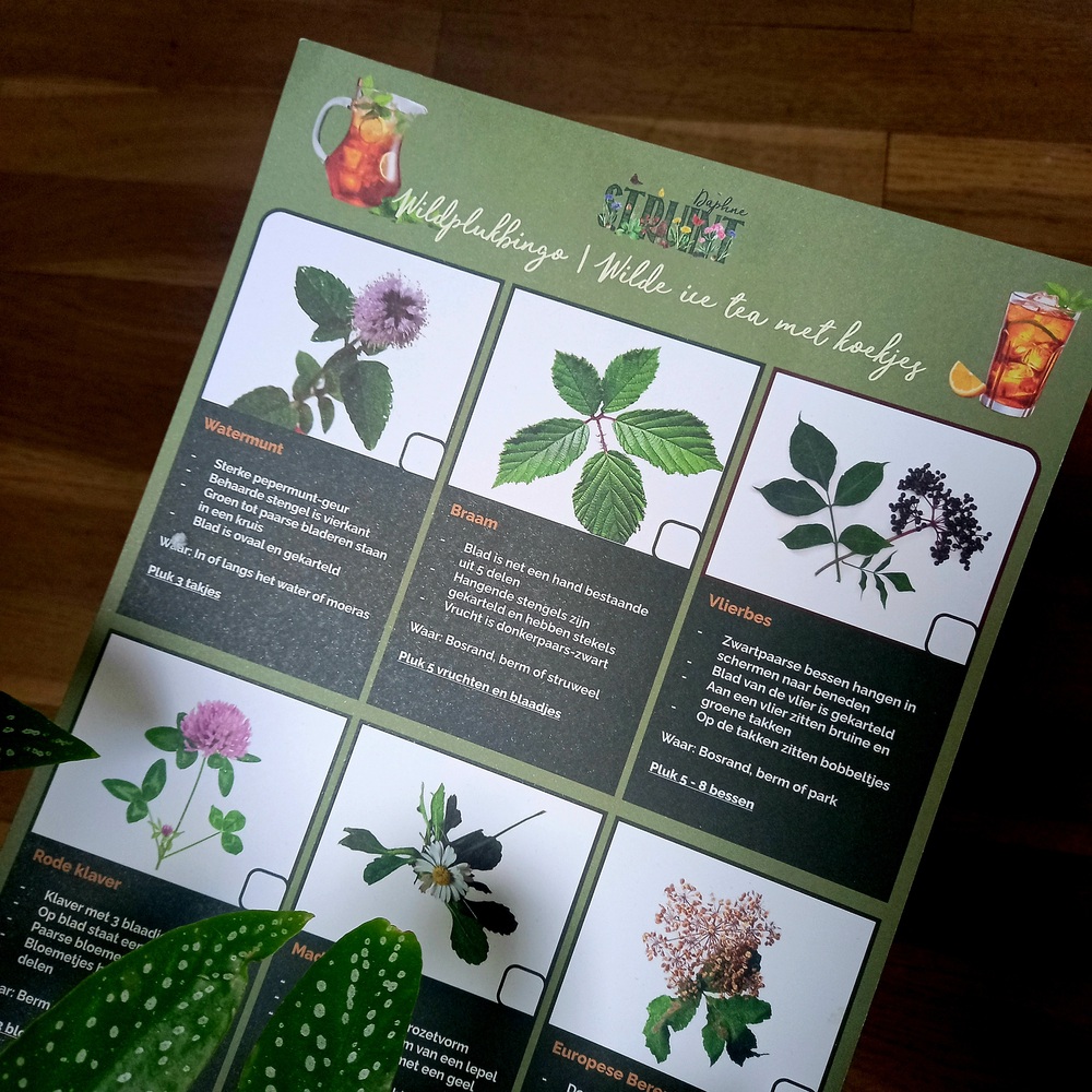 DIY Wildpluksafari | Herfst-editie header